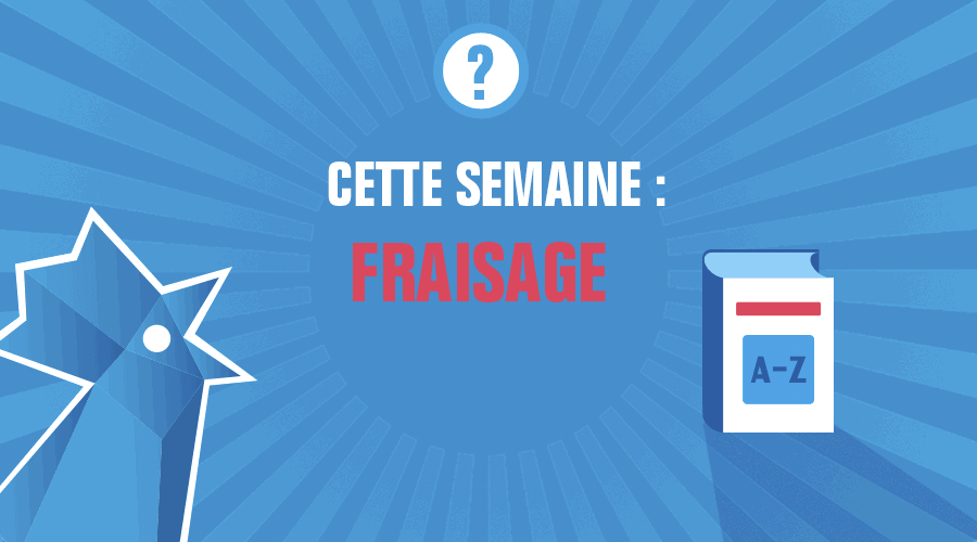 Dico-FF-FRAISAGE-GIF C4EST QUOI LE FRAISAGE