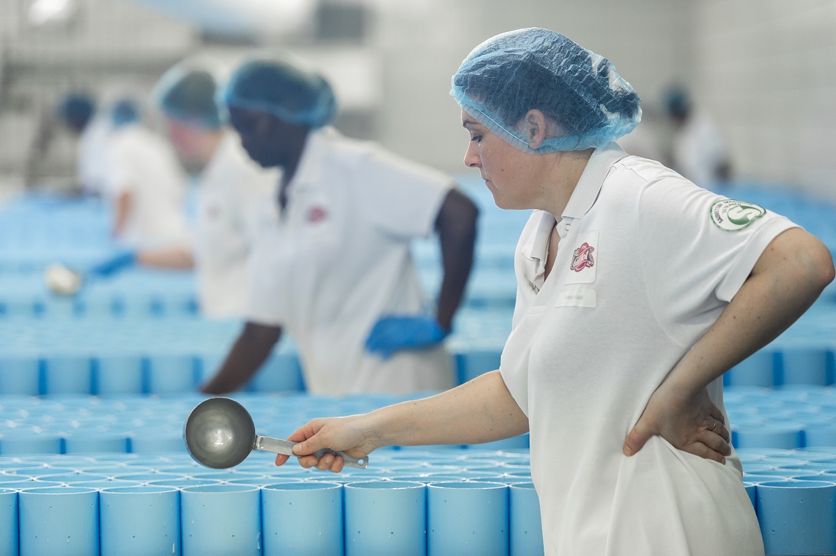 Reportage pour établissement Fromage Gillot Reportage pour établissement Fromage Gillot