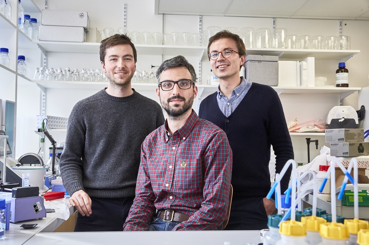 Start-up DNA script de l'incubateur de l'ESCPI, Paris 5e, le 21/03/2017. Start-up DNA script de l'incubateur de l'ESCPI, Paris 5e, le 21/03/2017.